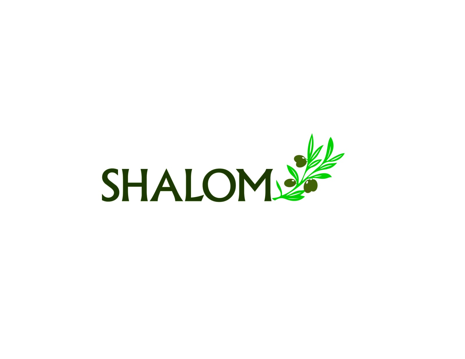 Logo Shalom
